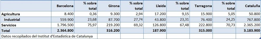 Ocupación según sector y provincia copia