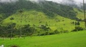 Eje Cafetero en Colombia