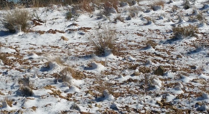 Nieve en el desierto