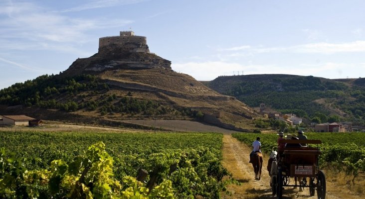 Ribera del Duero. Foto de Verema