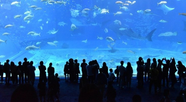 Visitantes en un acuario