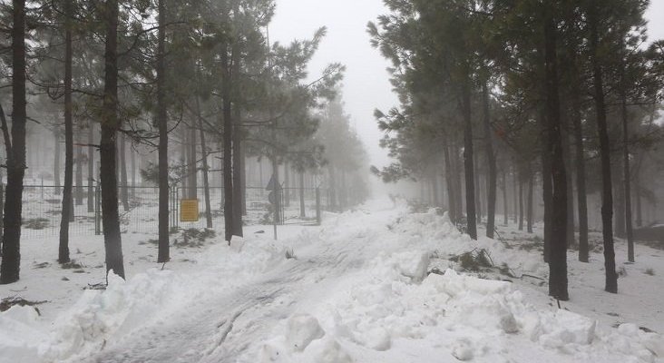 Nieve en la cumbre de Gran Canaria. Foto de Tribuna de Canarias