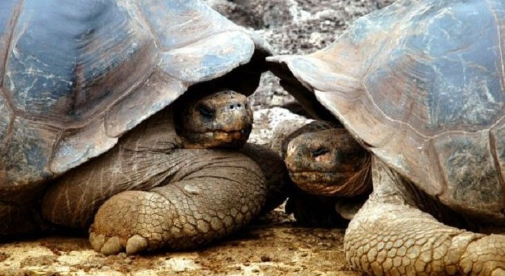 Patrimonio Natural de la Humanidad rechaza miles de turistas