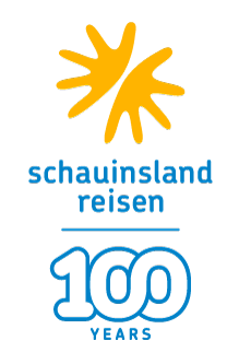 logo 100y