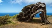 Isla de El Hierro