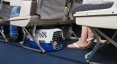 Muchas mascotas murieron en vuelos de United en 2017