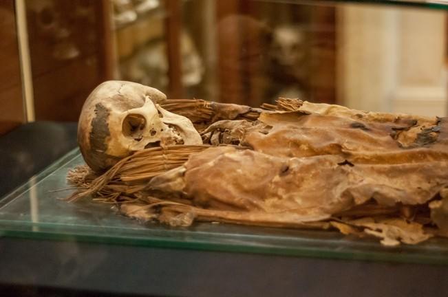 Momia del Museo Canario. Fotografía Republica