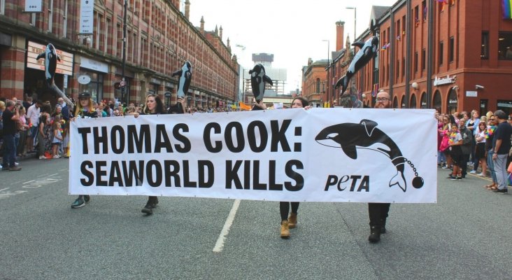 Las auditorías de Thomas Cook hunden a SeaWorld