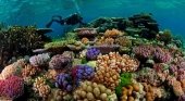 República Dominicana crea un mapa de alta resolución de arrecifes de coral