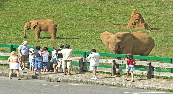 Fuga masiva de animales en un zoo de Cantabria