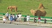 Fuga masiva de animales en un zoo de Cantabria