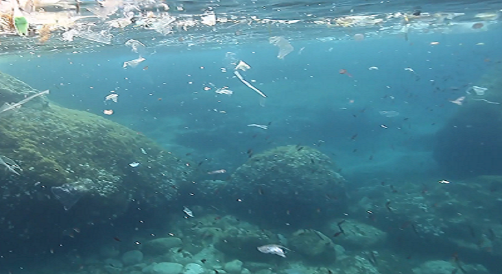 Mallorca Blue denuncia que la basura de las calles termina en el mar