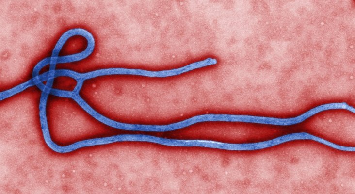 Brote de ébola en el Congo Kenia y Tanzania