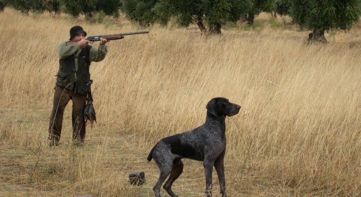 Extremadura quiere autorizar el turismo cinegético con perros en Monfragüe, pese a la Ley de Parques Nacionales