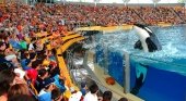 Loro Parque. Foto de Diario de Avisos