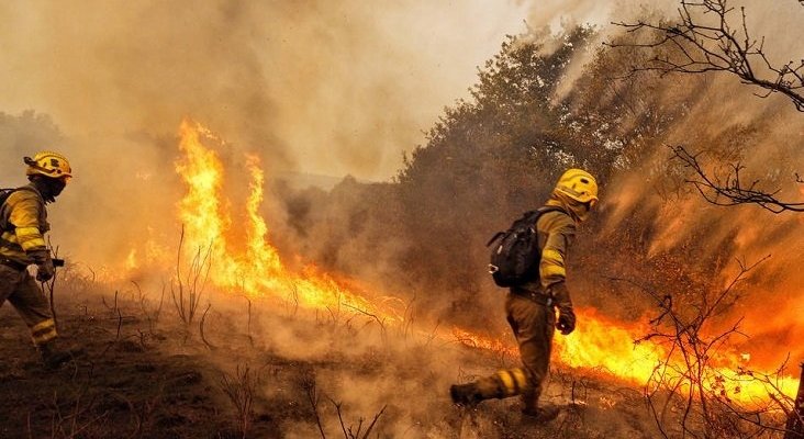 España registra 8.643,48 hectáreas quemadas en los cinco primeros meses del año. Foto: EFE