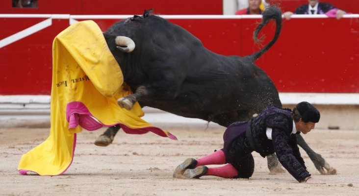 Pamplona podría prohibir las corridas de toros en Sanfermines |EFE
