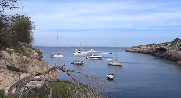 Mallorca Blue denuncia el anclaje de embarcaciones de recreo en campos de posidonia|Fotograma del vídeo de la denuncia