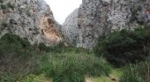 Rescatan en Mallorca a 20 excursionistas deshidratados