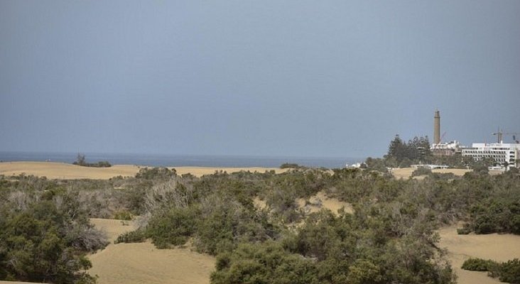 60.000 m3 de arena para salvar las Dunas de Maspalomas