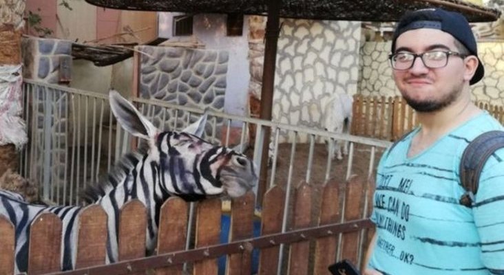 Denuncian a zoo egipcio por pintar a burros para hacerlos pasar por cebras