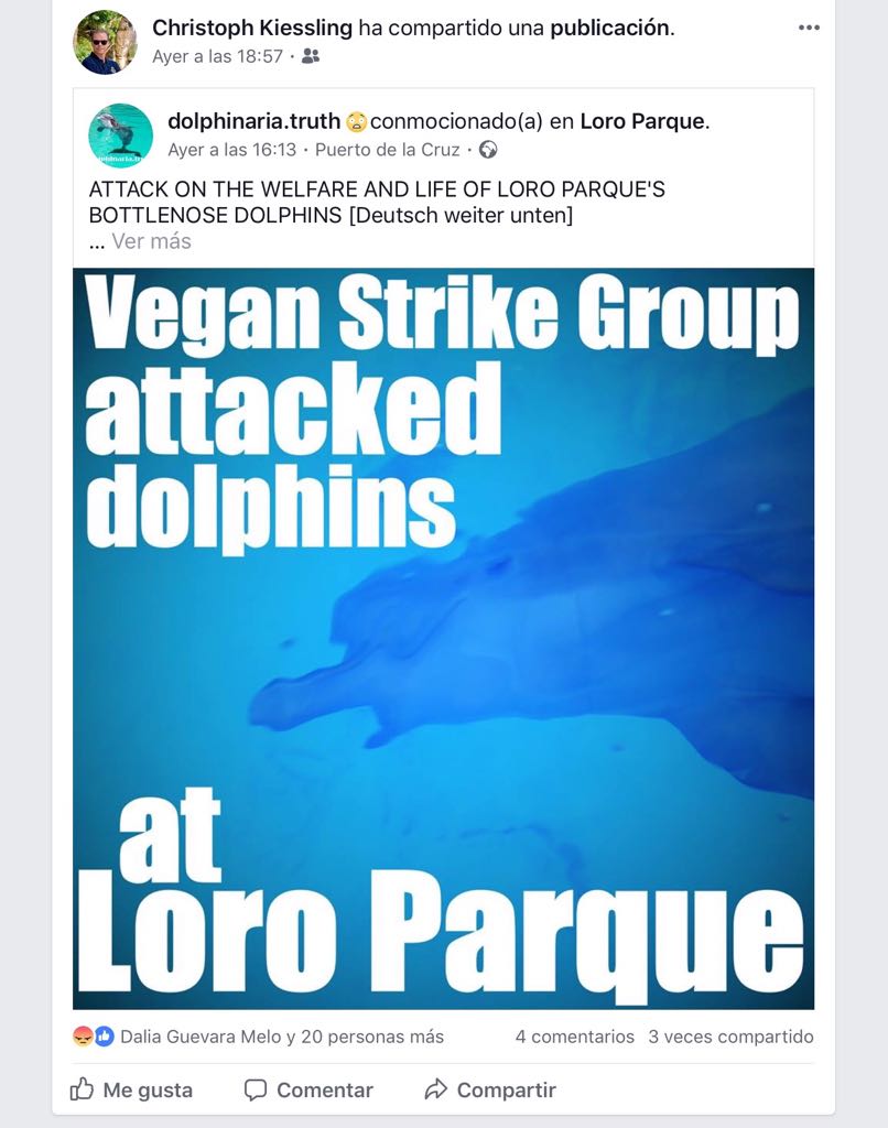 Delfinario Loro Parque