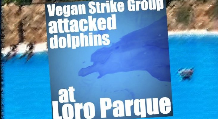 ‘Eco terroristas’ se cuelan en delfinario de Loro Parque y exigen su cierre