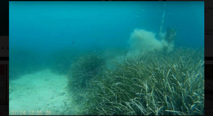 Mueven 4.400 naves fondeadas sobre posidonia incorrectamente|Foto: Diario de Mallorca