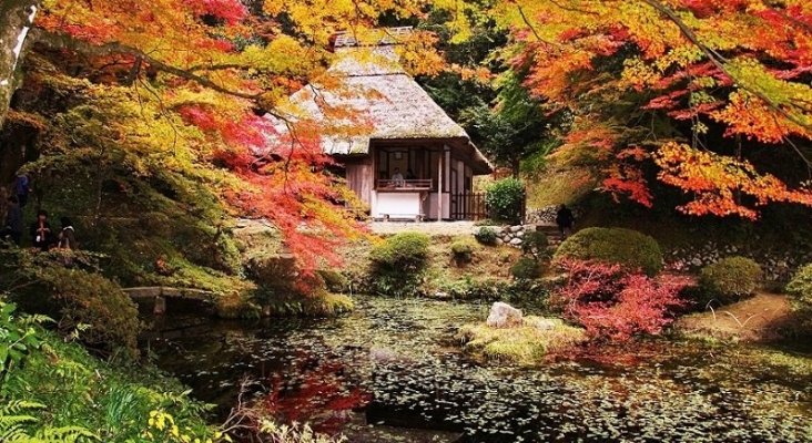 La belleza roja del otoño en Japón | Yoshimizu en Garden©Hiroshima Prefecture ©JNTO
