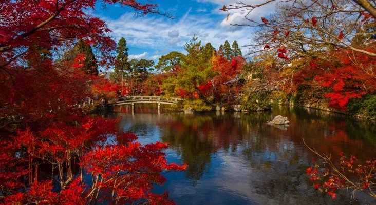 La belleza roja del otoño en Japón