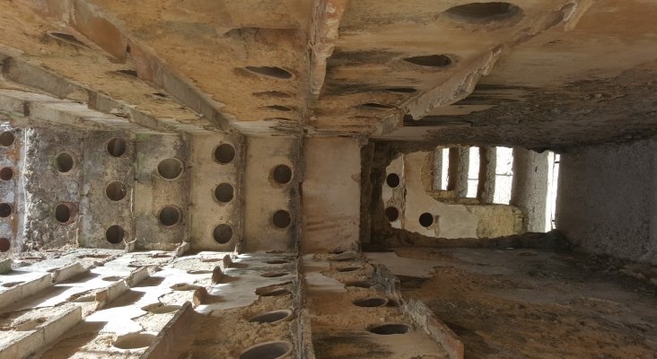 Las palomas de San Ambrosio