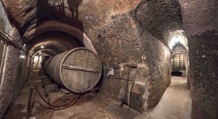 patrimonio vinicola subterraneo ruta vino rueda