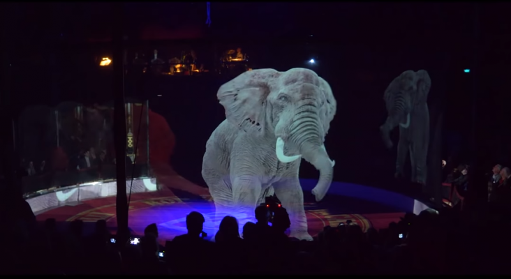 Circus Roncalli exhibe a sus animales holográficos|Fotograma del vídeo 'Optoma impresses audiences with a holographic circus experience'