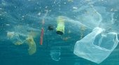 Unión Europea acabará con el plástico de un solo uso en 2021|Foto: NATURA hoy.com