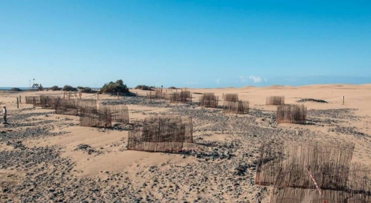 Nacen nuevas dunas en Maspalomas, Gran Canaria|Foto: Canarias 7