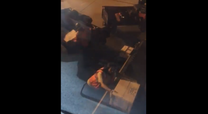 Maletero maltrata un paquete con “peces tropicales vivos” en el aeropuerto de Phoenix