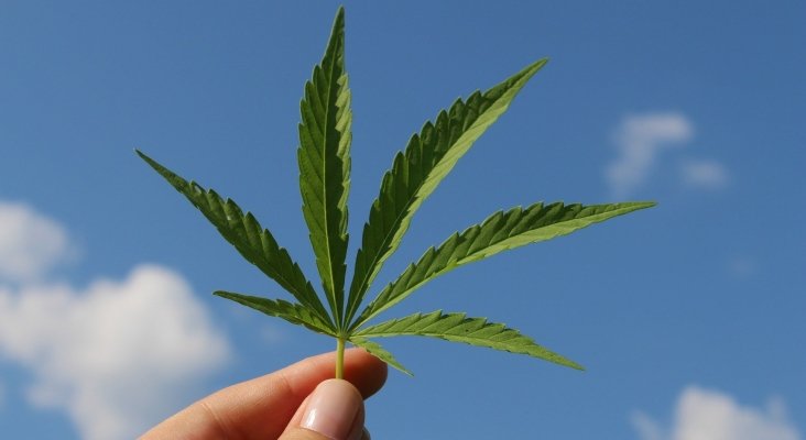 Tailandia se une a la legalización del cannabis con fines medicinales