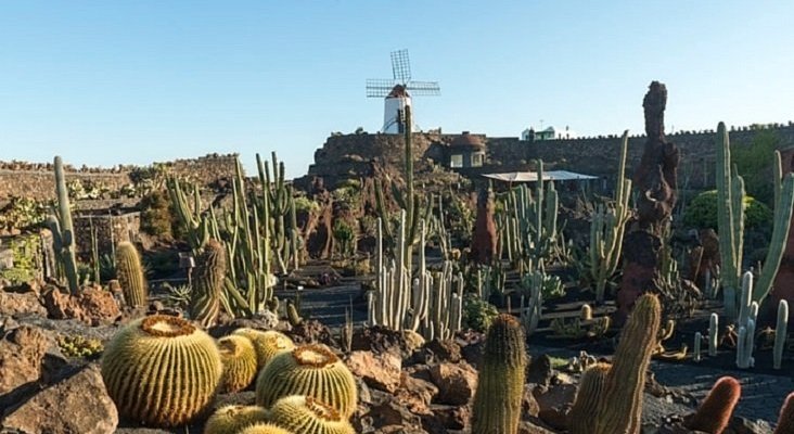 Los CACT aprueban el Plan Estratégico y Presupuestos de la Entidad del ejercicio 2019 |Foto: CACT Lanzarote