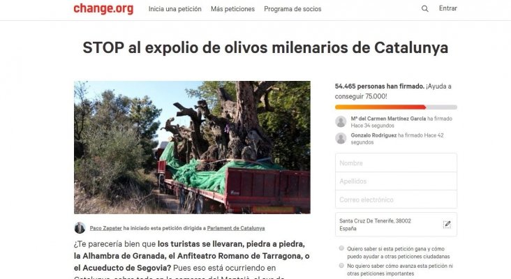 Los turistas dejan sin olivos a pueblo de Tarragona
