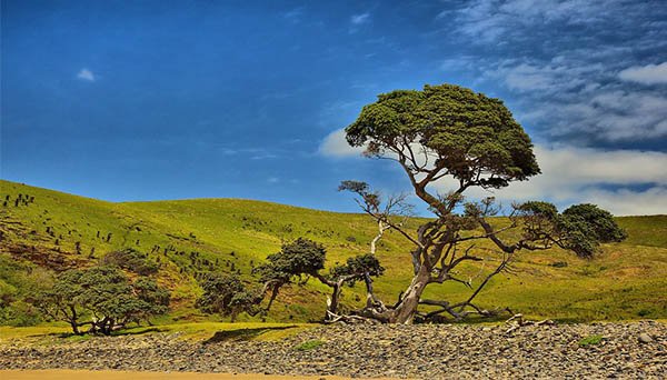 Los touroperadores alemanes ponen de moda el sur Africa