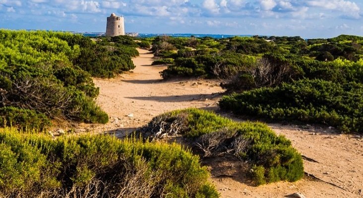 El ‘sexo’ está acabando con las dunas de es Cavallet (Ibiza) | Foto: playasbaleares.com