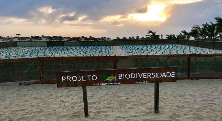  Projeto Biodiversidade