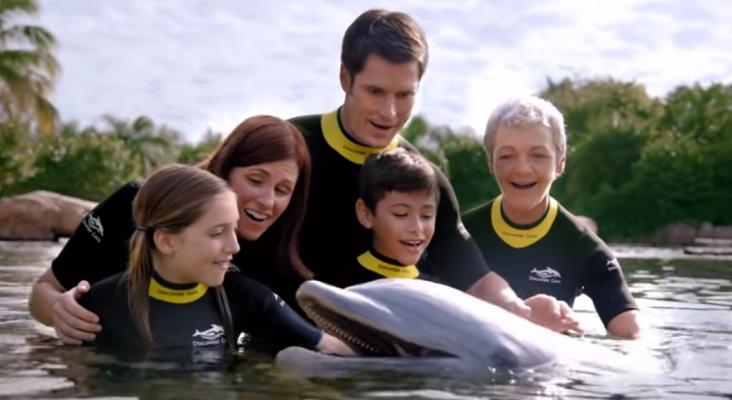 Abre el primer parque acuático dirigido a personas con autismo | Foto: discoverycove.com