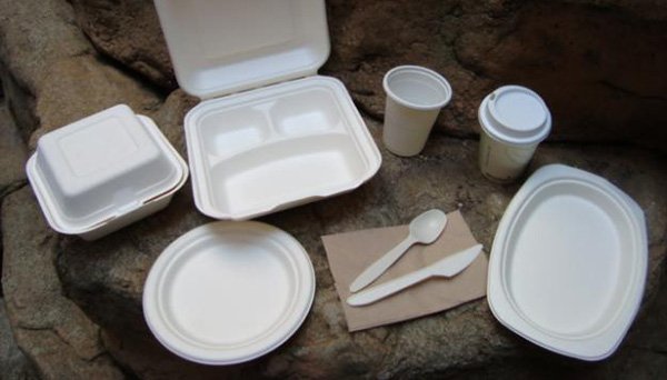 Los turistas ya no podrán usar platos y tenedores de plástico en los complejos y campings de Francia