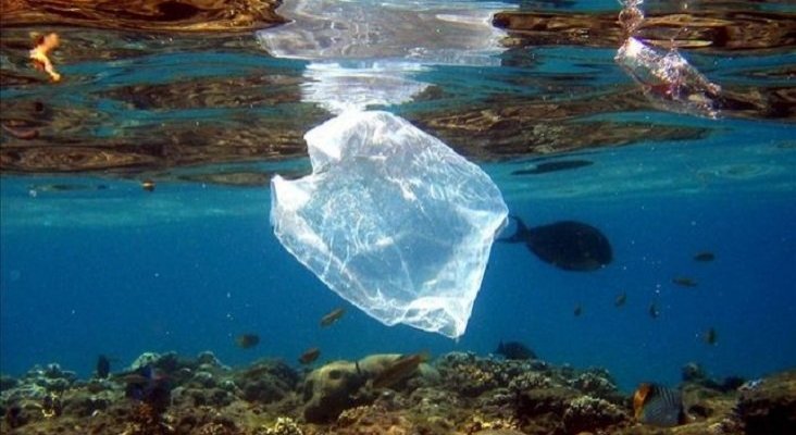 Egipto se suma a la lucha contra el plástico, con el apoyo de ETI |Foto: EFE vía eldiario.es
