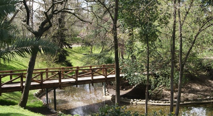 Parque del Retiro, Madrid 3