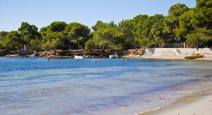 Un bosque costero de Ibiza, en peligro de ser urbanizado | Foto: white-ibiza.com