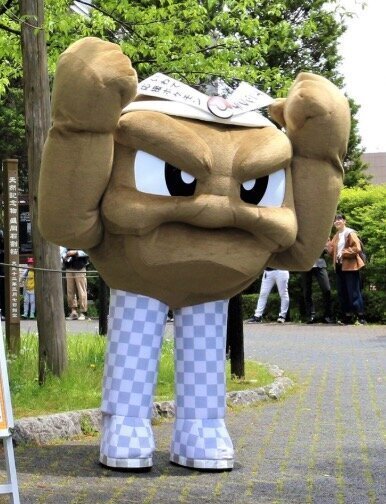 Geodude, embajador de Iwate