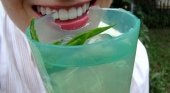 Inventan vasos comestibles hechos con alga japonesa