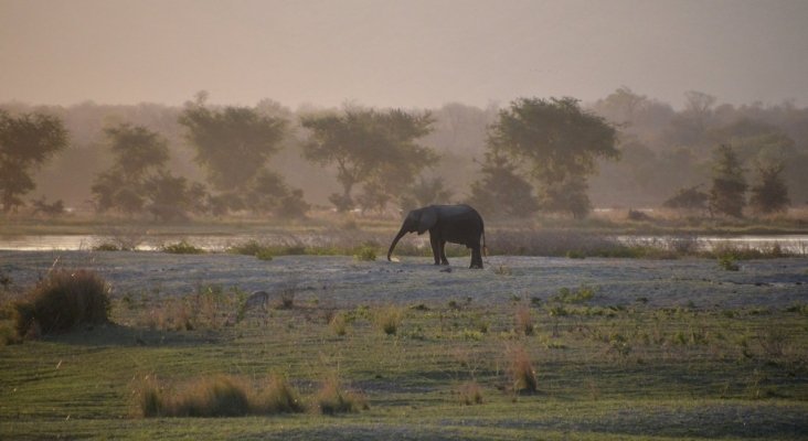 Parque Nacional de Mana Pools, en Zimbabue
